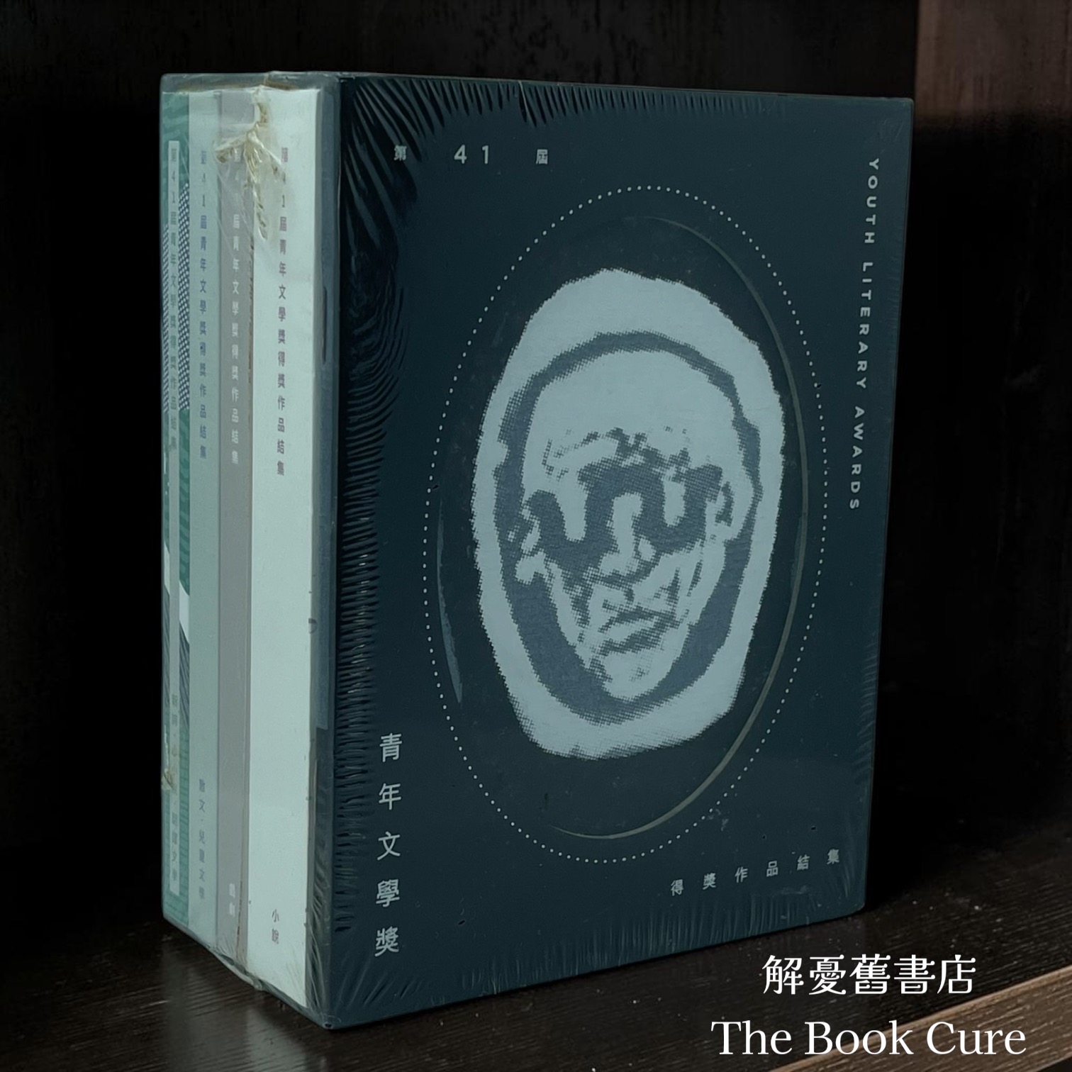 第41屆青年文學奬得奬作品集
