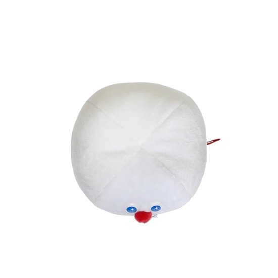 TOOTH CONTAINER POUCH