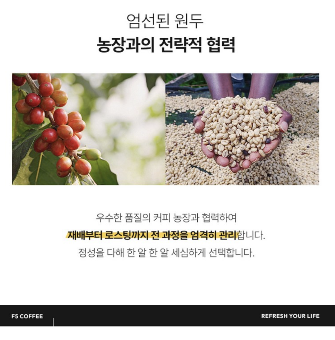 韓國 F5 核心冷萃咖啡 8種口味混合裝｜Premium Cold Brew Coffee 