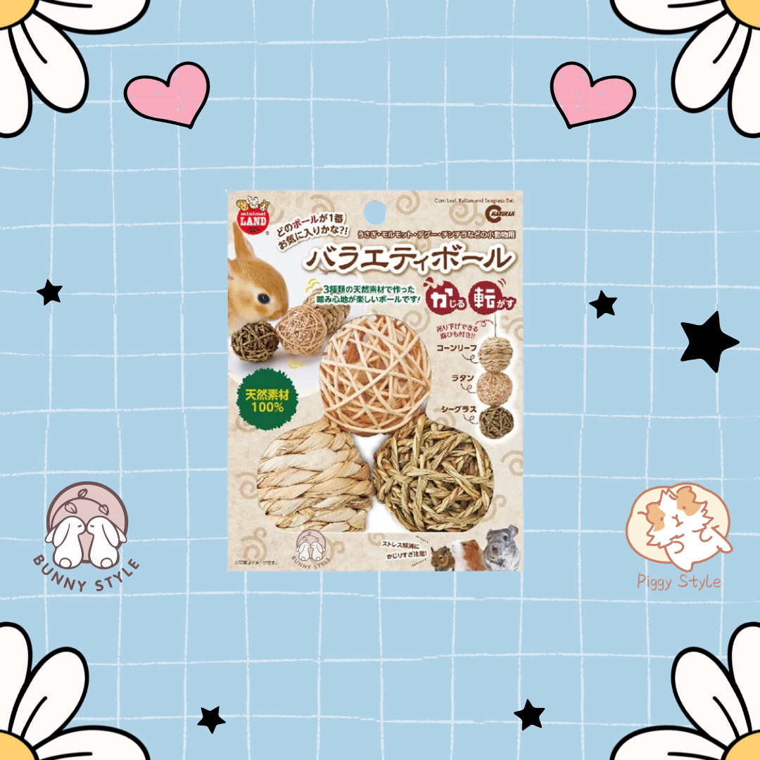 日本Marukan 小動物編織球玩具組