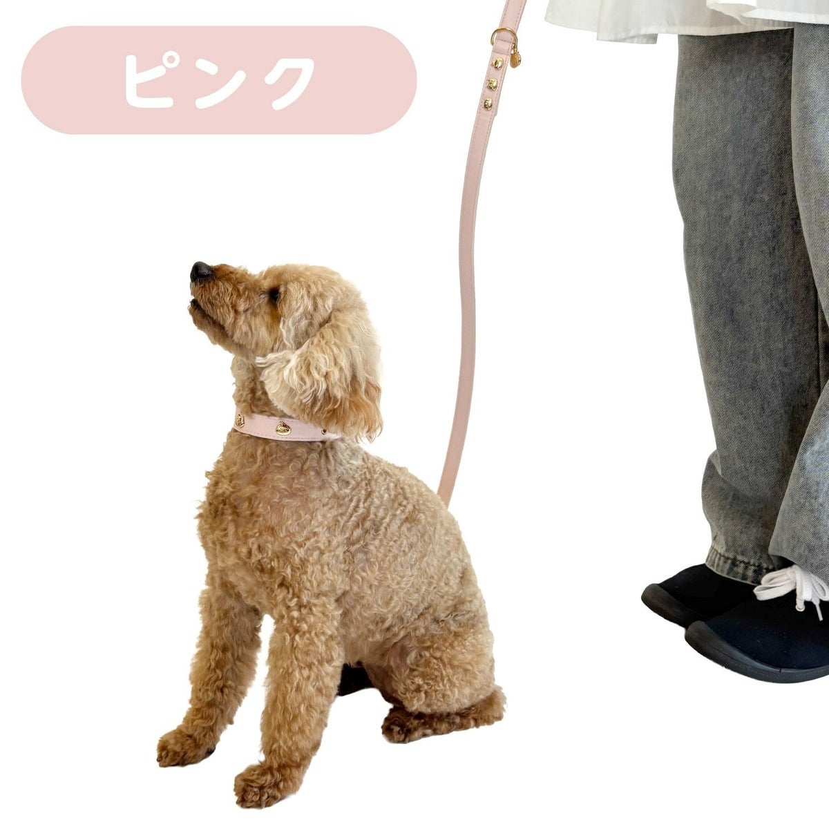 🌸 【預訂】Chiikawa 小型犬用 狗帶(合皮)