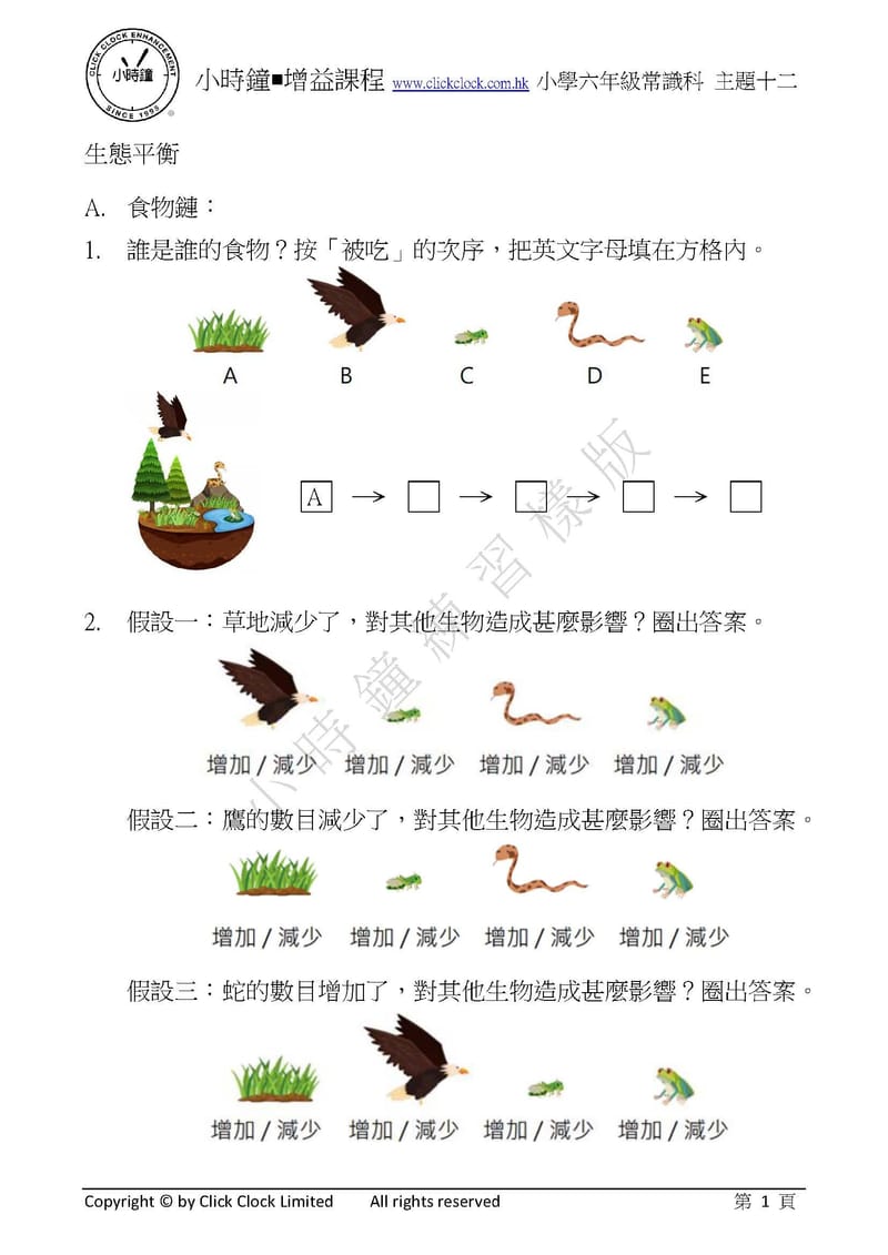 模擬試卷 (六年級)