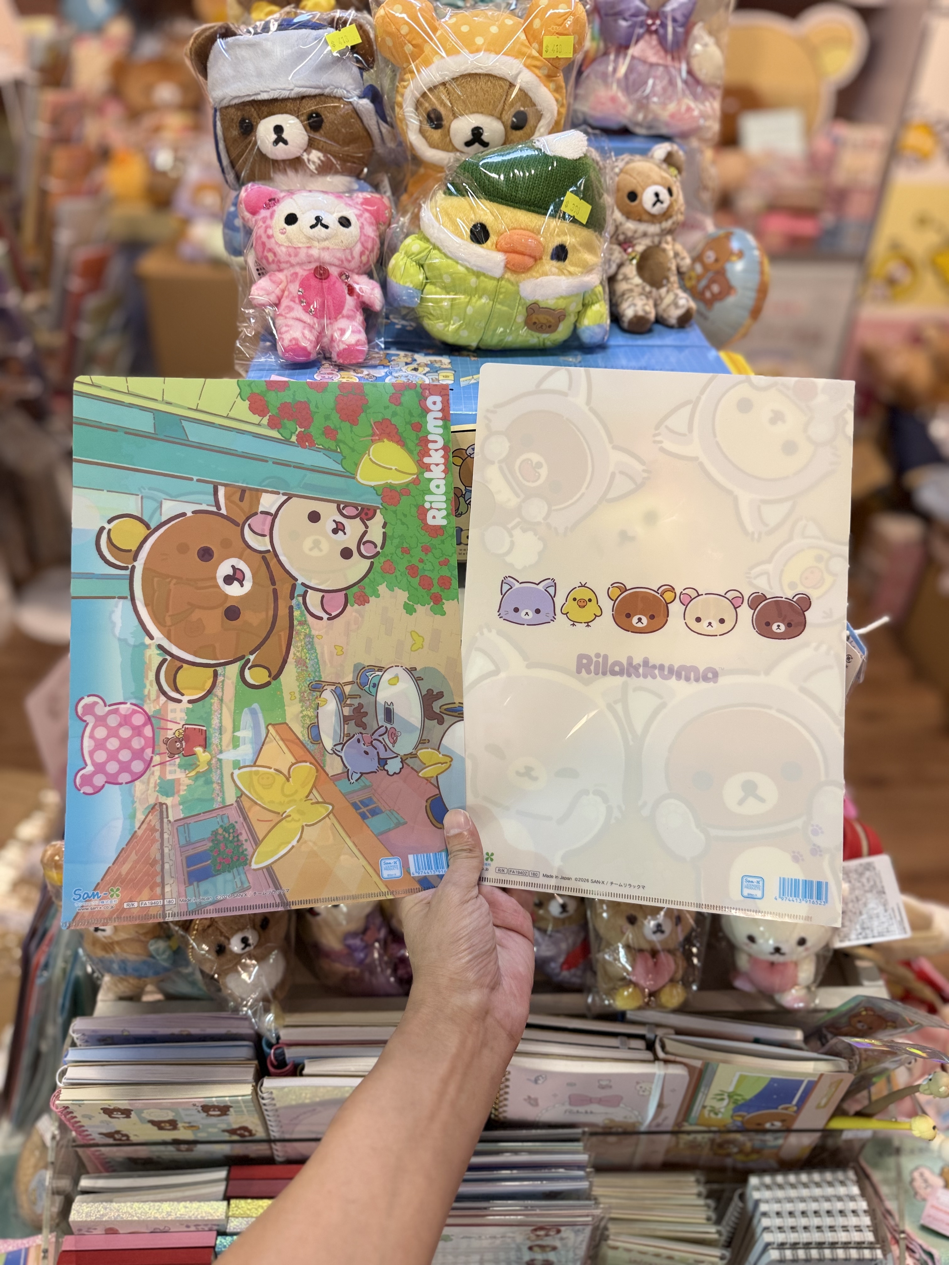 《現貨》全新Rilakkuma瓦瓦貓系列A4 file