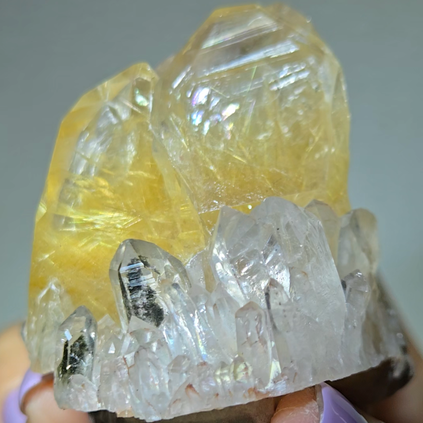 Golden rutilated quartz with chlorite points, rainbows - RT110