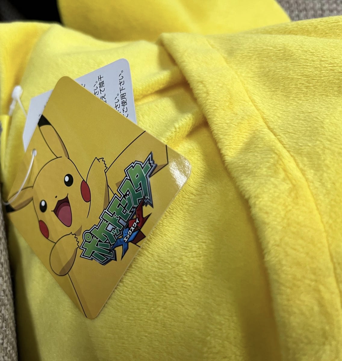 🎌日本限定🎌比卡超 刺繡兩用長抱枕