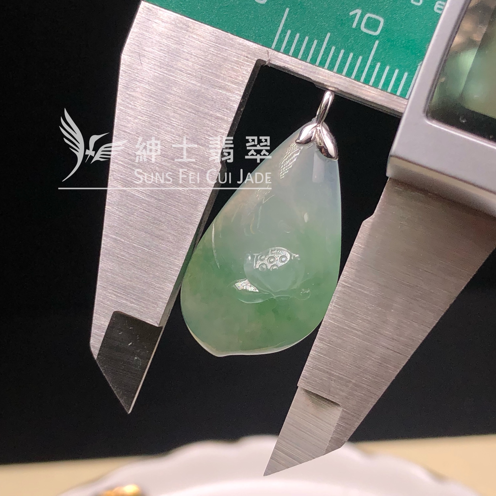 YK01056 老油青玉蓮