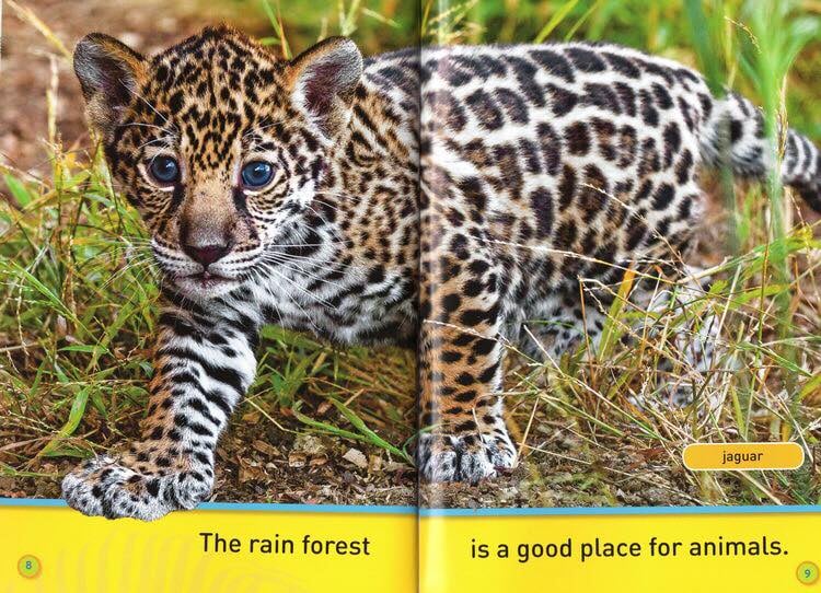 National Geographic Kids Pre-reader 國家地理分級讀物 預備級 兒童百科書｜20 books｜點讀版