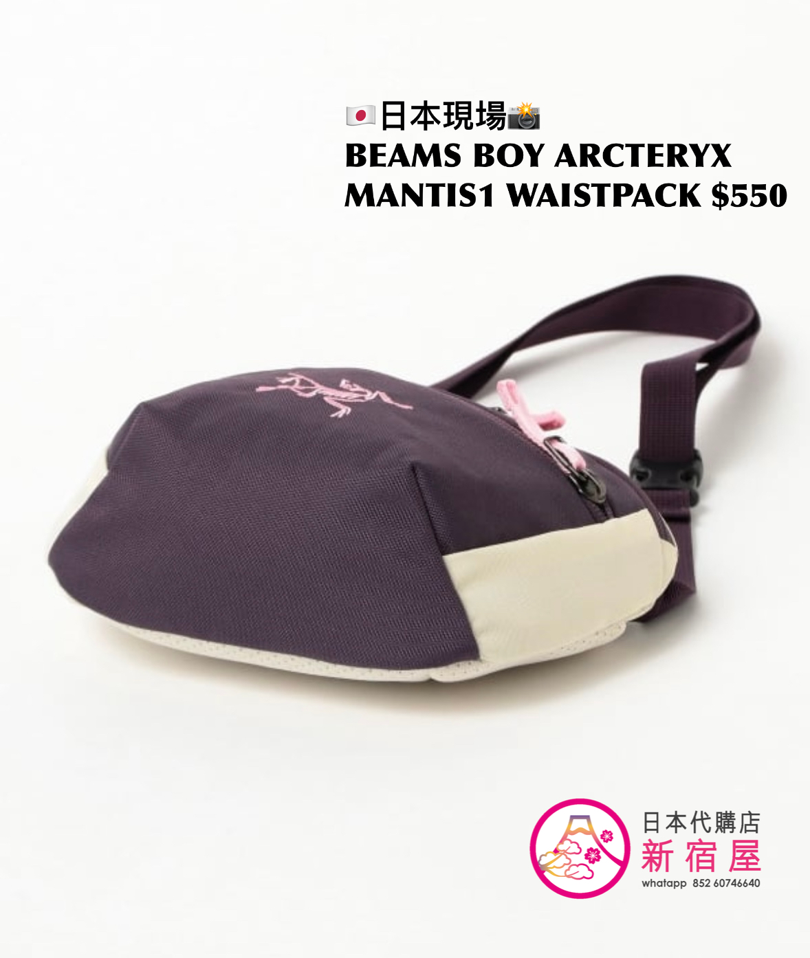 BEAMS BOY x ARCTERYX MANTIS1 WAISTPACK 