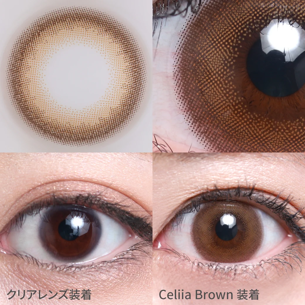 TeAmo - Allure series Celiia Brown (1day/10P)