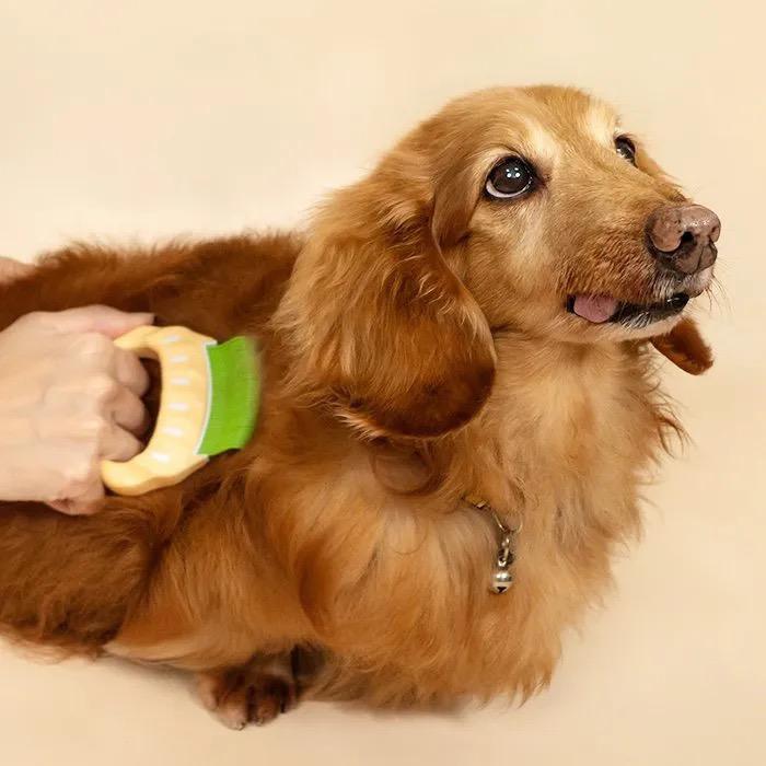 日本 Philocomb 寵物貝殼梳