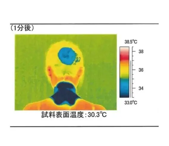 日本 Needs Labo Eco cool 涼感凝膠頸帶 *感知溫差為-6.6度 - 深藍色 平行進口