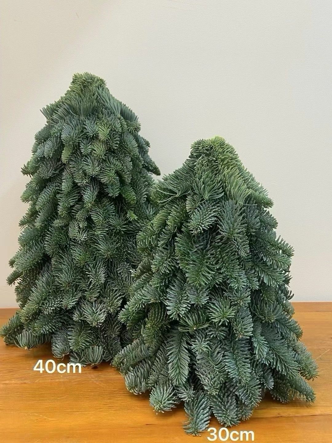 手工製貴族松聖誕樹30cm