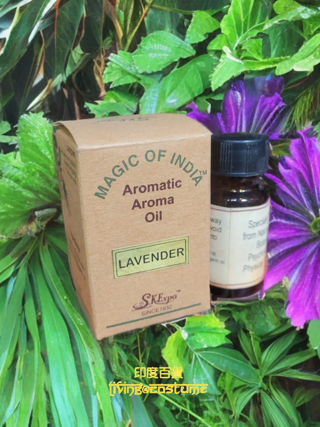 Lavender (薰衣草)