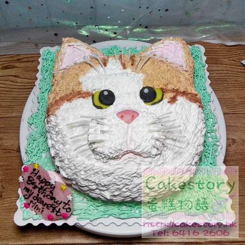 N78. 貓貓蛋糕