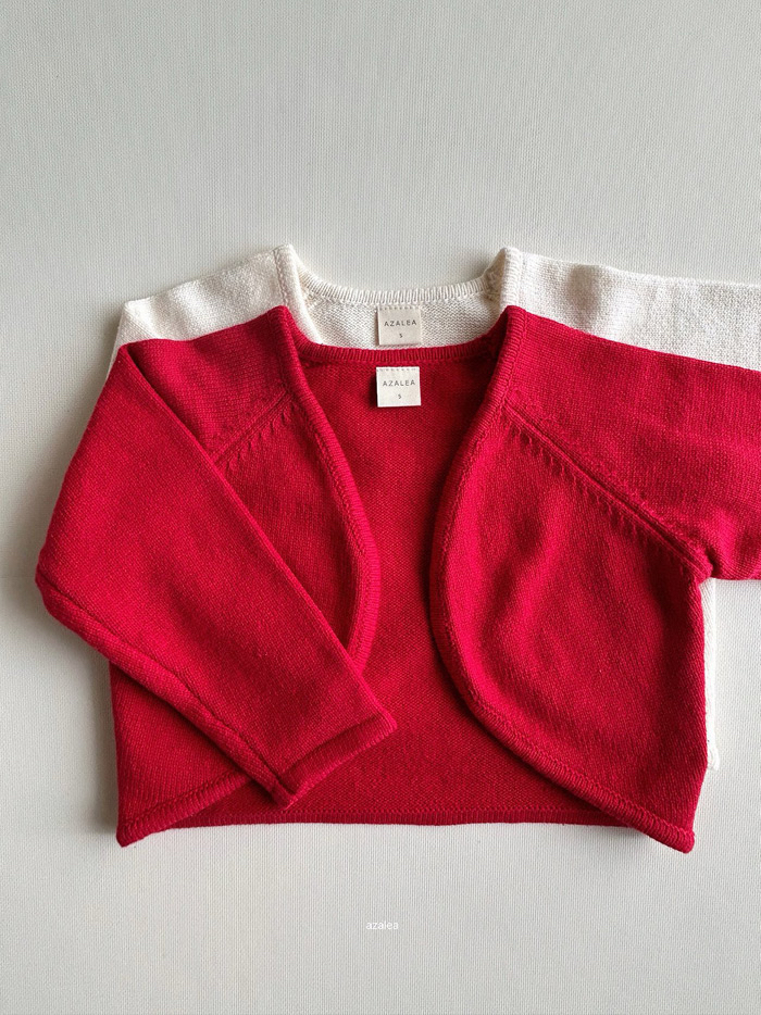 🇰🇷azalea背心+外套