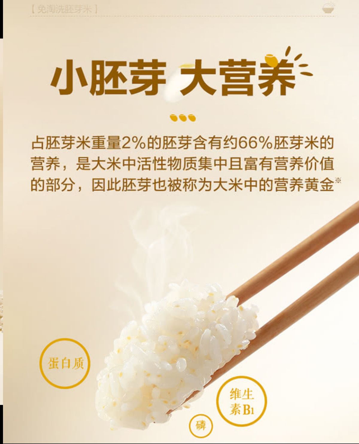 金龍魚 免淘洗胚芽米 5kg (1.25kg*4包) *新包裝 平行進口