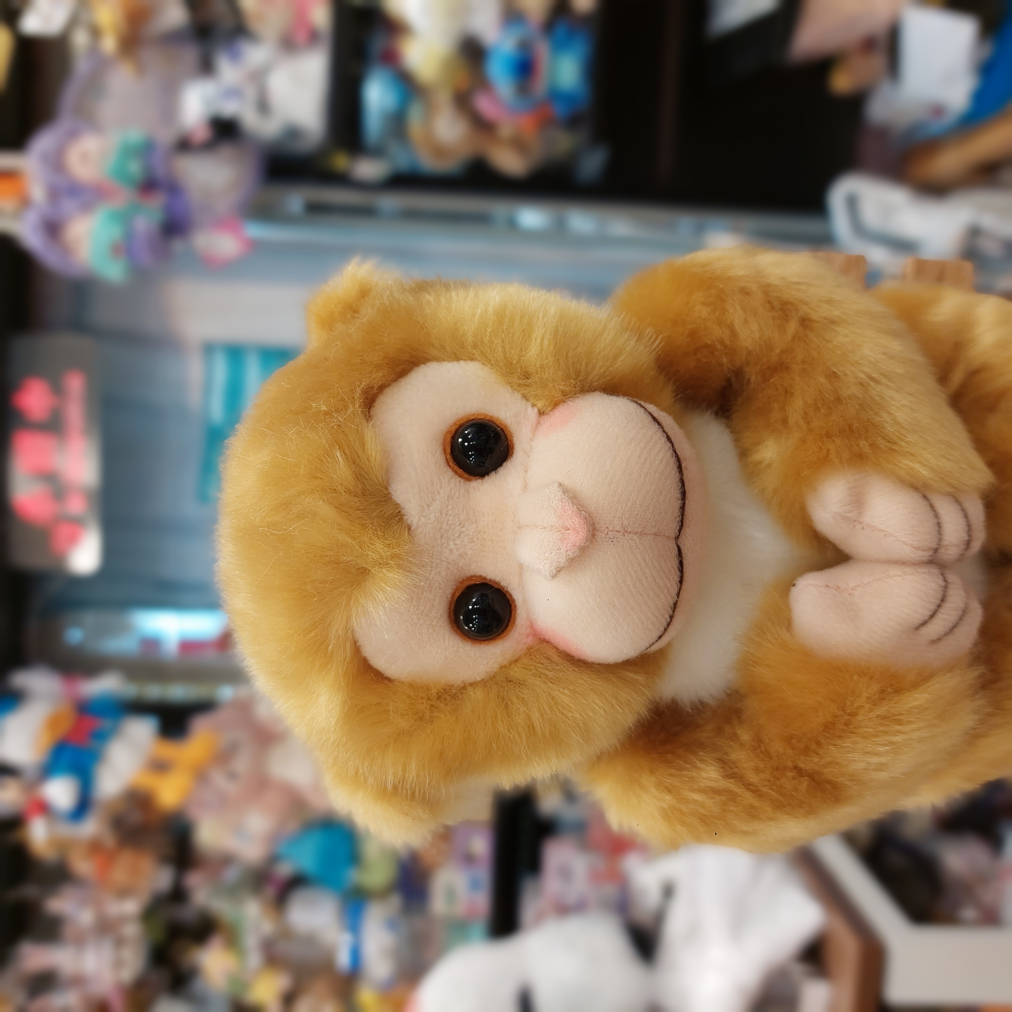 市川動物園限定 人气馬騮仔"パンチくん  Panchi君 M號小公仔  全高約21cm
