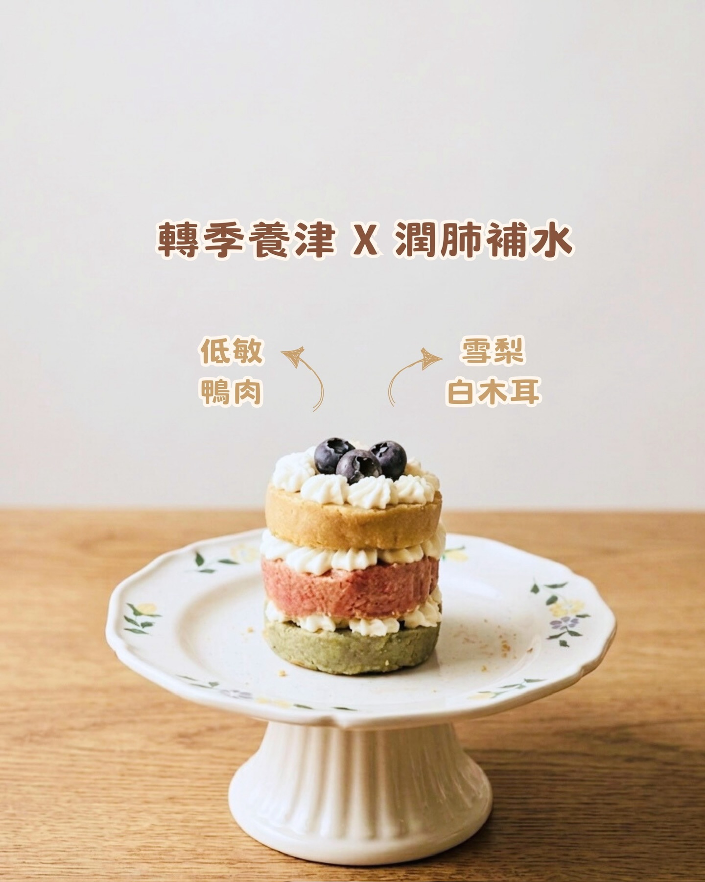 寵物養生小蛋糕