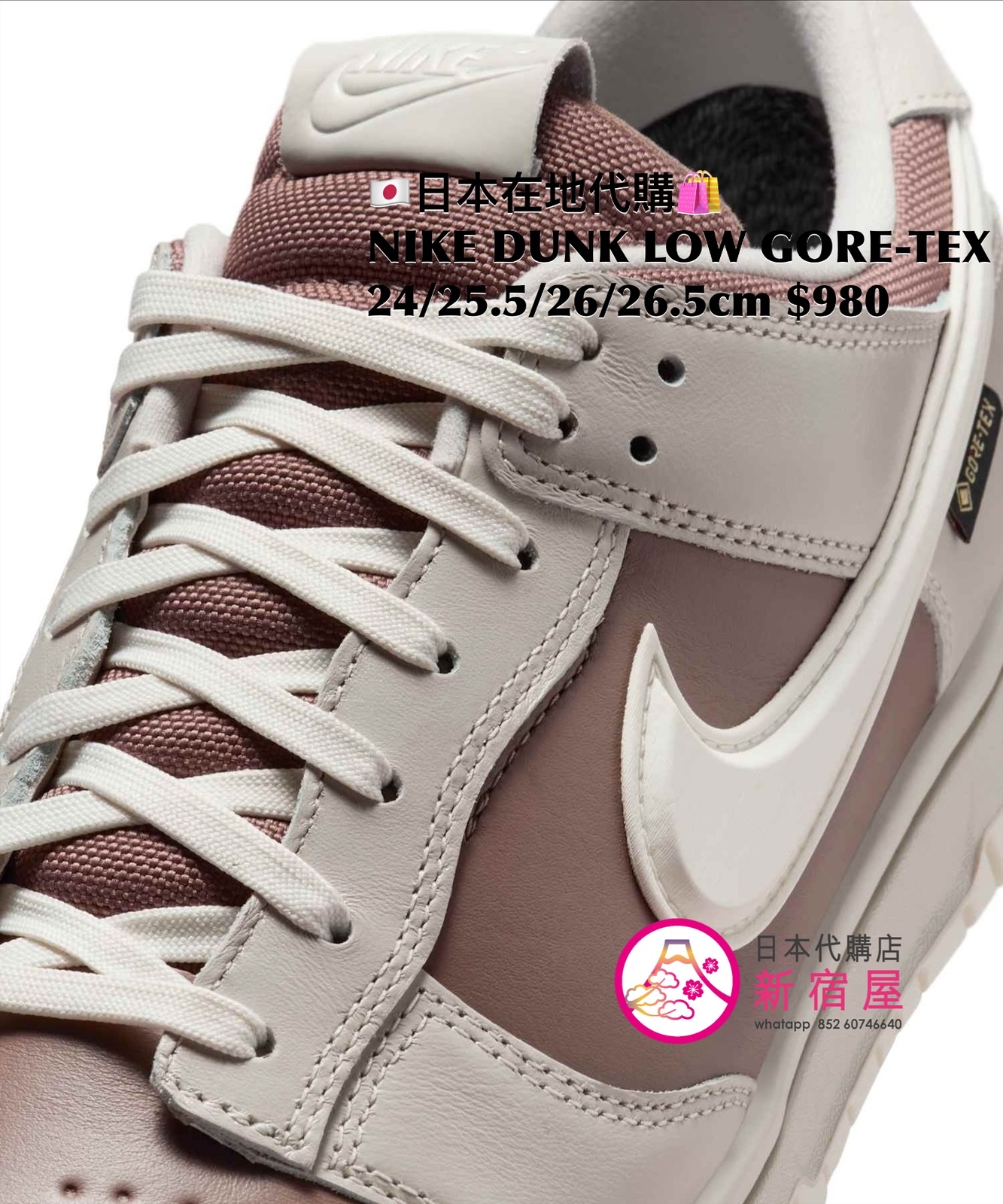 NIKE DUNK LOW GORE-TEX
