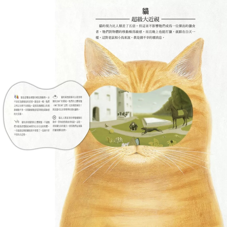 動物眼中的世界（典藏新裝版）