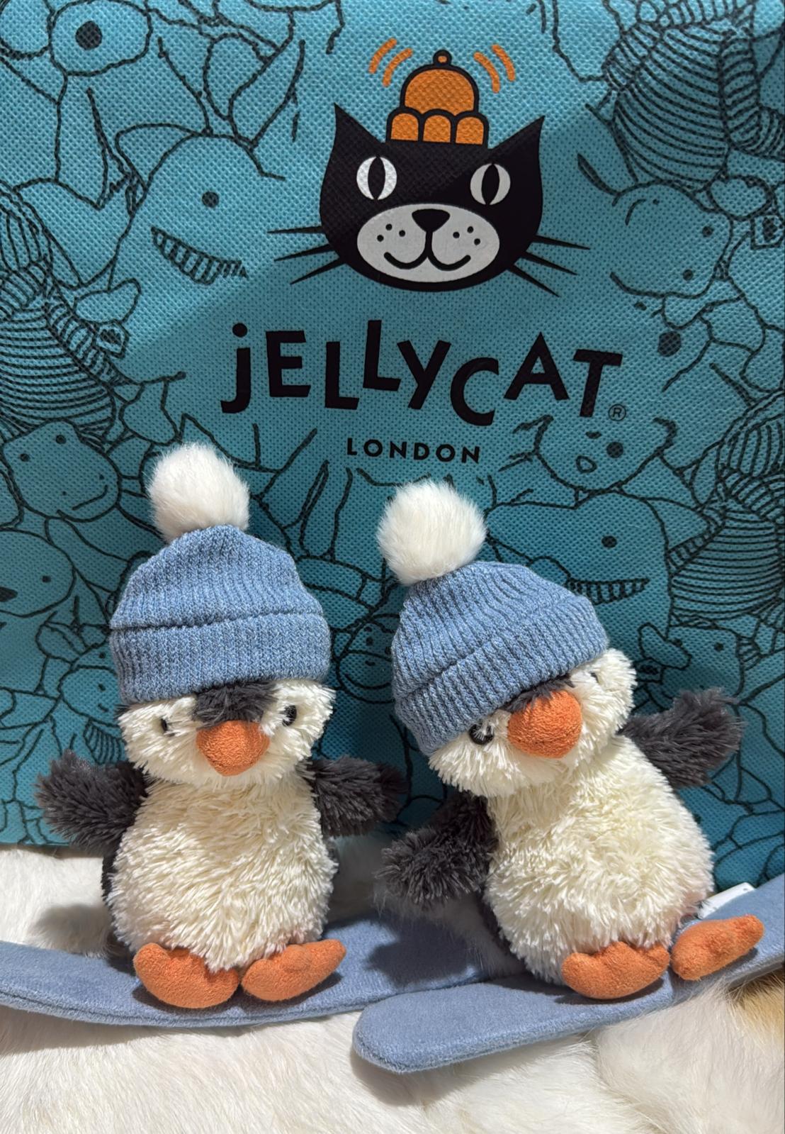 現貨jelly cat 冬日滑板企鵝 X’mas sale