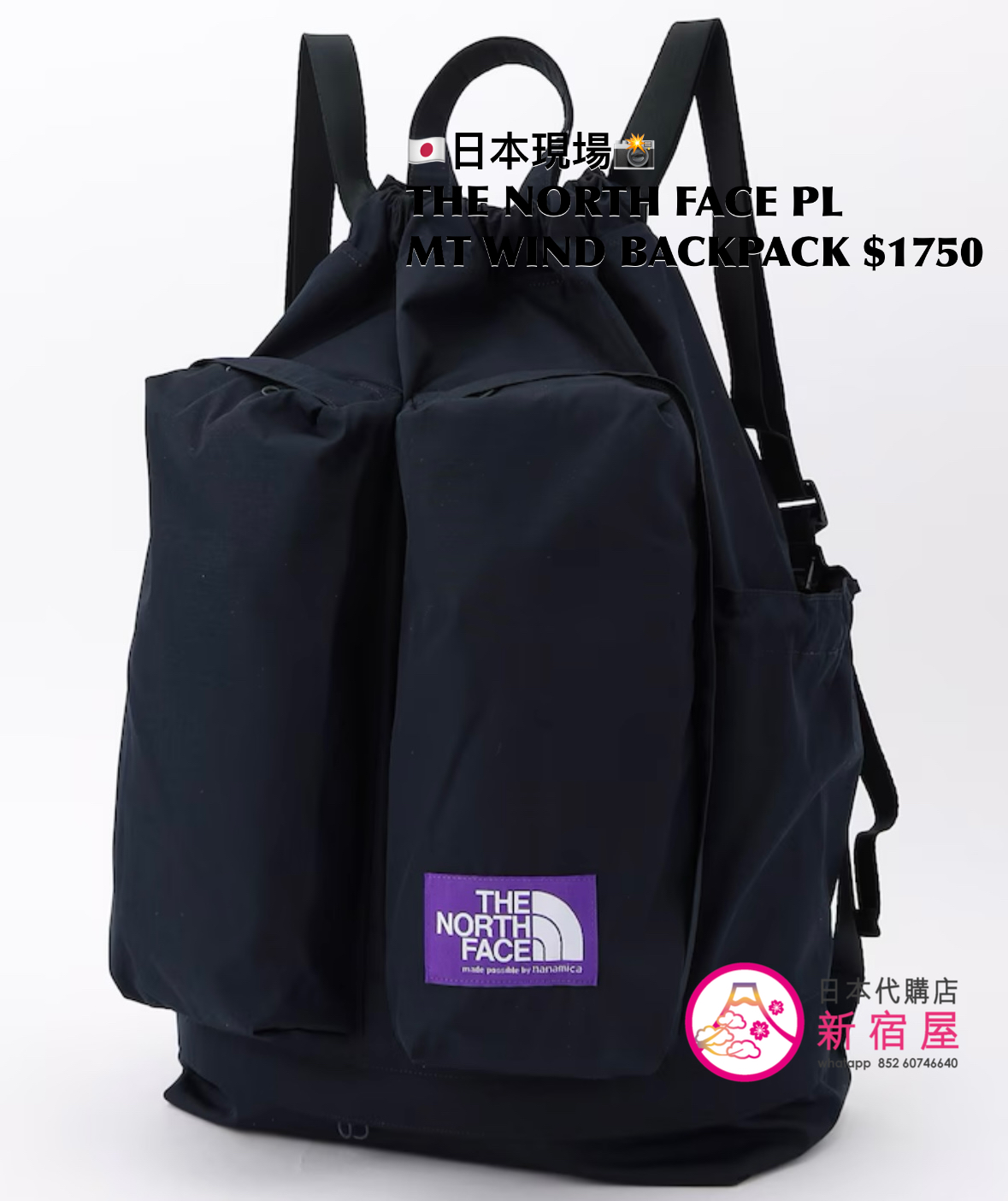 THE NORTH FACE PURPLE LABEL MOUNTAIN WIND BACKPACK 