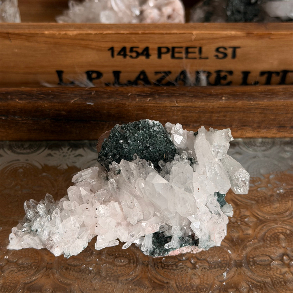 巴基斯坦綠泥白水晶共生