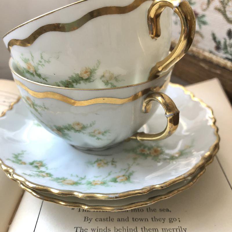 Antique 1889-1918 Made in Austria Hand-painted Floral Tea Set Duo Pair(MT086)