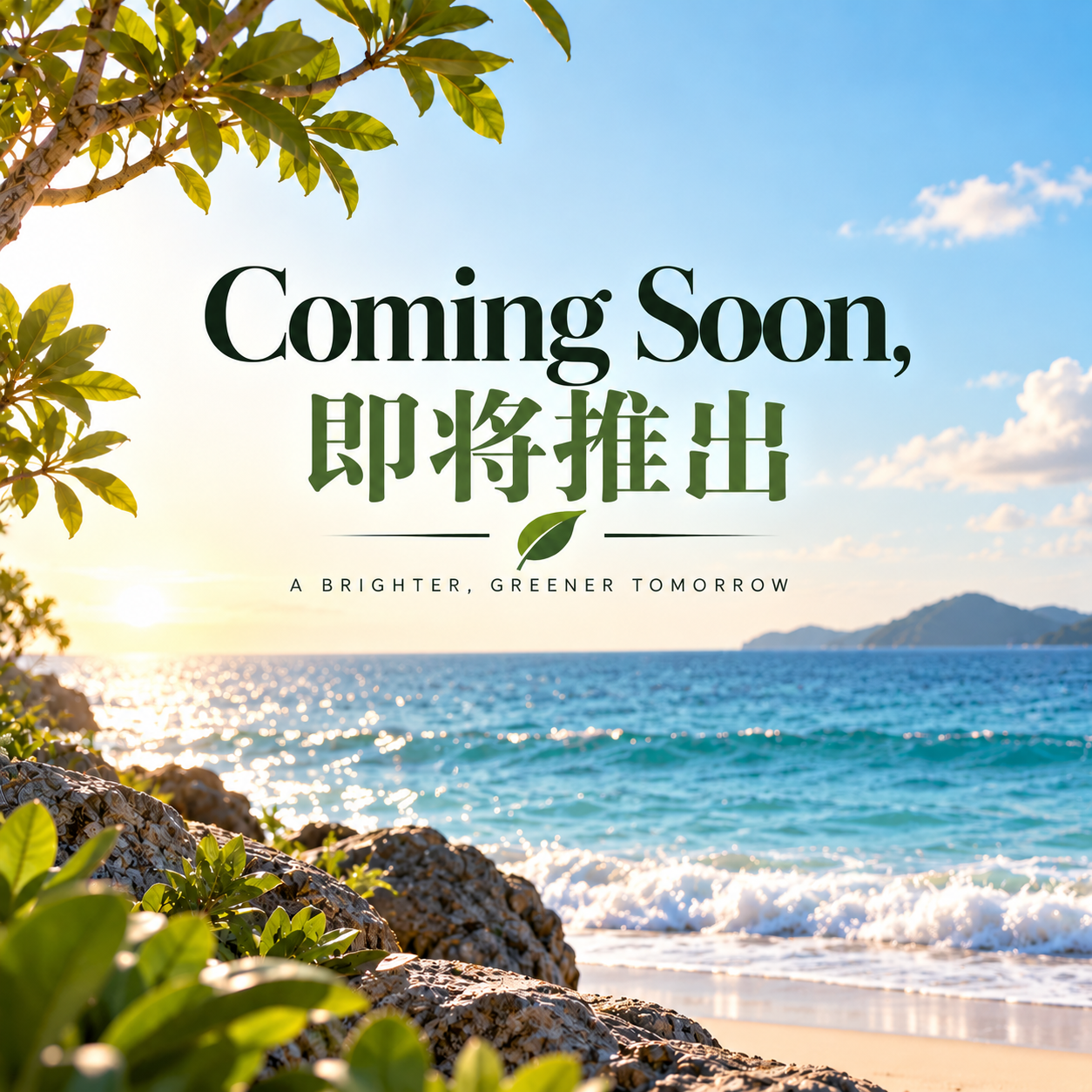 Coming Soon, 即将推出