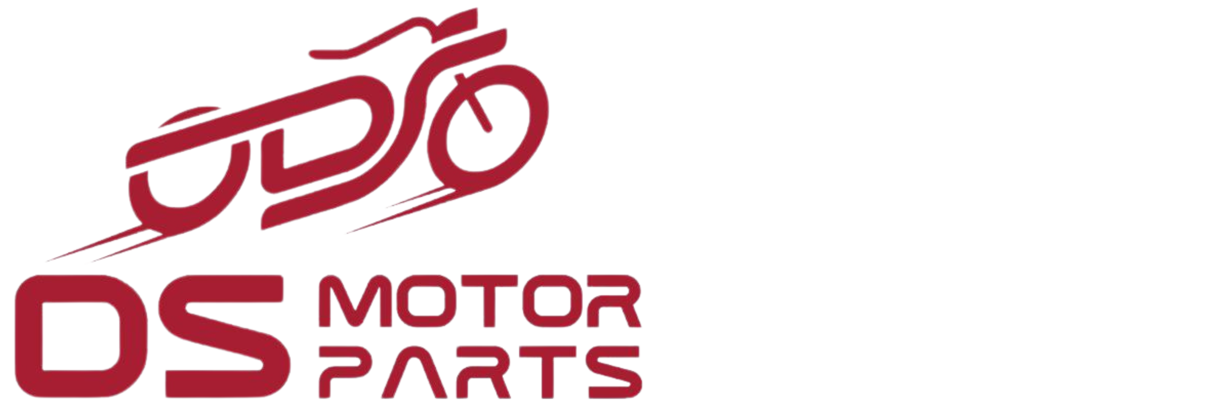 DS MOTOR PARTS SDN BHD