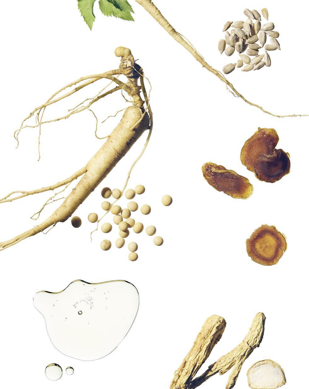 韓國 Beauty of Joseon 人蔘精華水 150ml｜Ginseng Essence Water