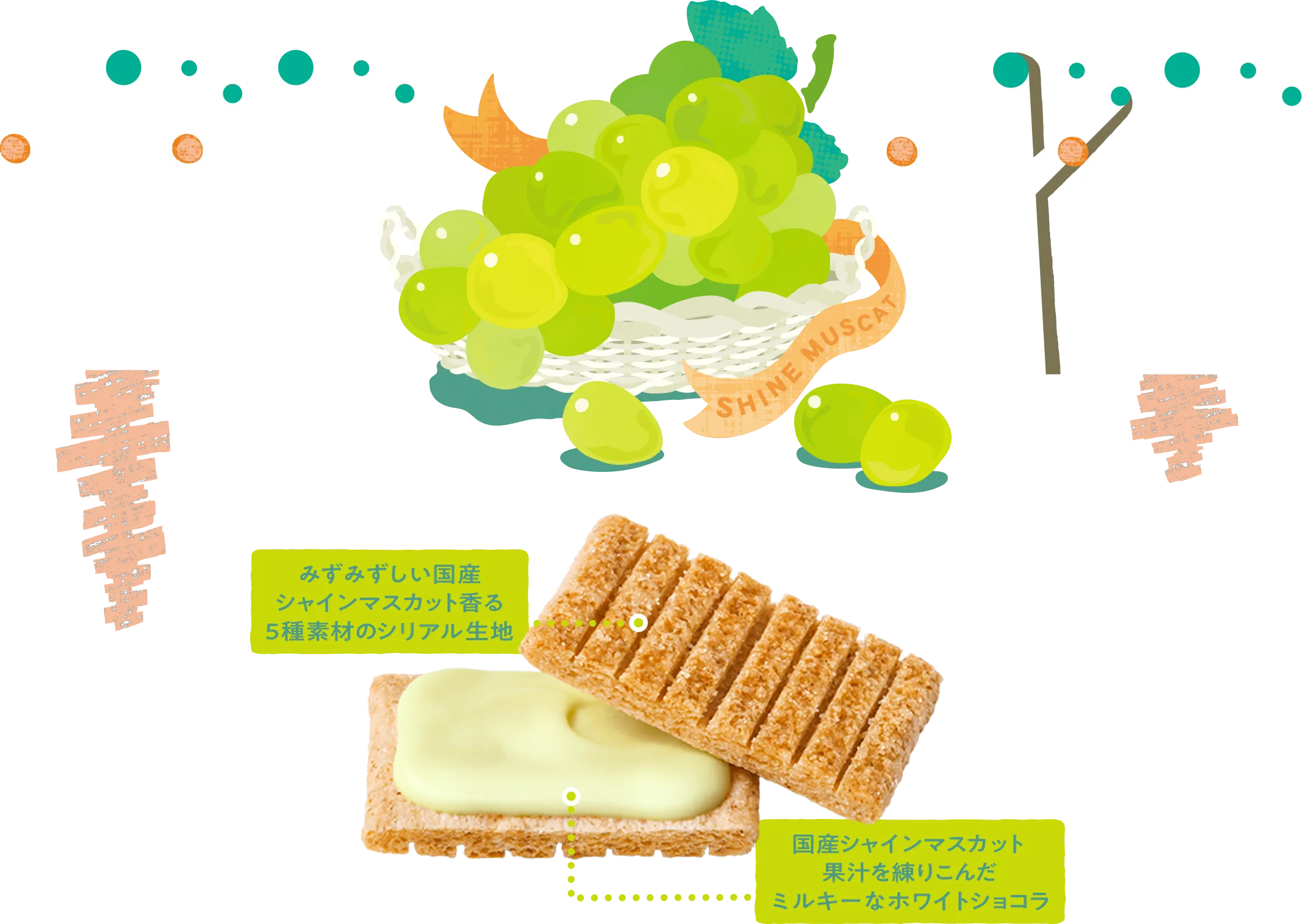 日本直送 Sugar Butter Sand Tree 巨峰提子口味