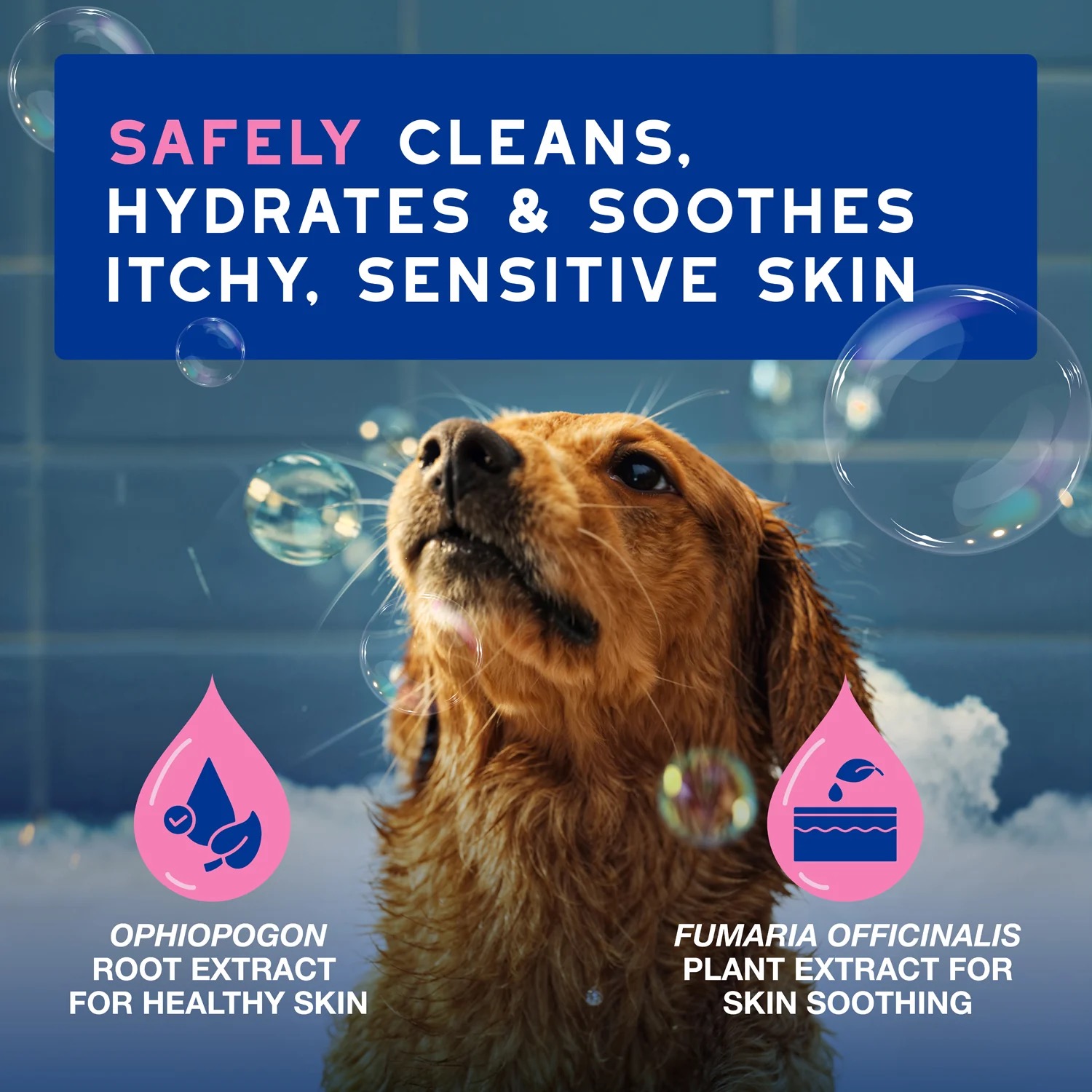 DOUXO SPA Sensitive Skin-Soothing Shampoo 舒緩敏感皮膚洗毛液