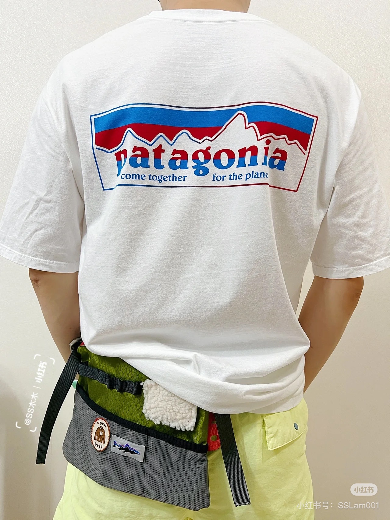 Patagonia Tee