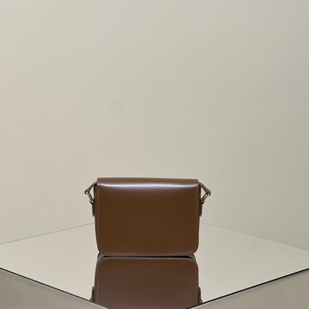 🔥大货实拍图 𝗖𝗘𝗟𝗜𝗡𝗘 ♥ 𝗧𝗘𝗘𝗡 𝗧𝗥𝗜𝗢𝗠𝗣𝗛𝗘 型号：188423 中号尺寸：22.5*16*7cm 小号尺寸：18.5*14*6cm