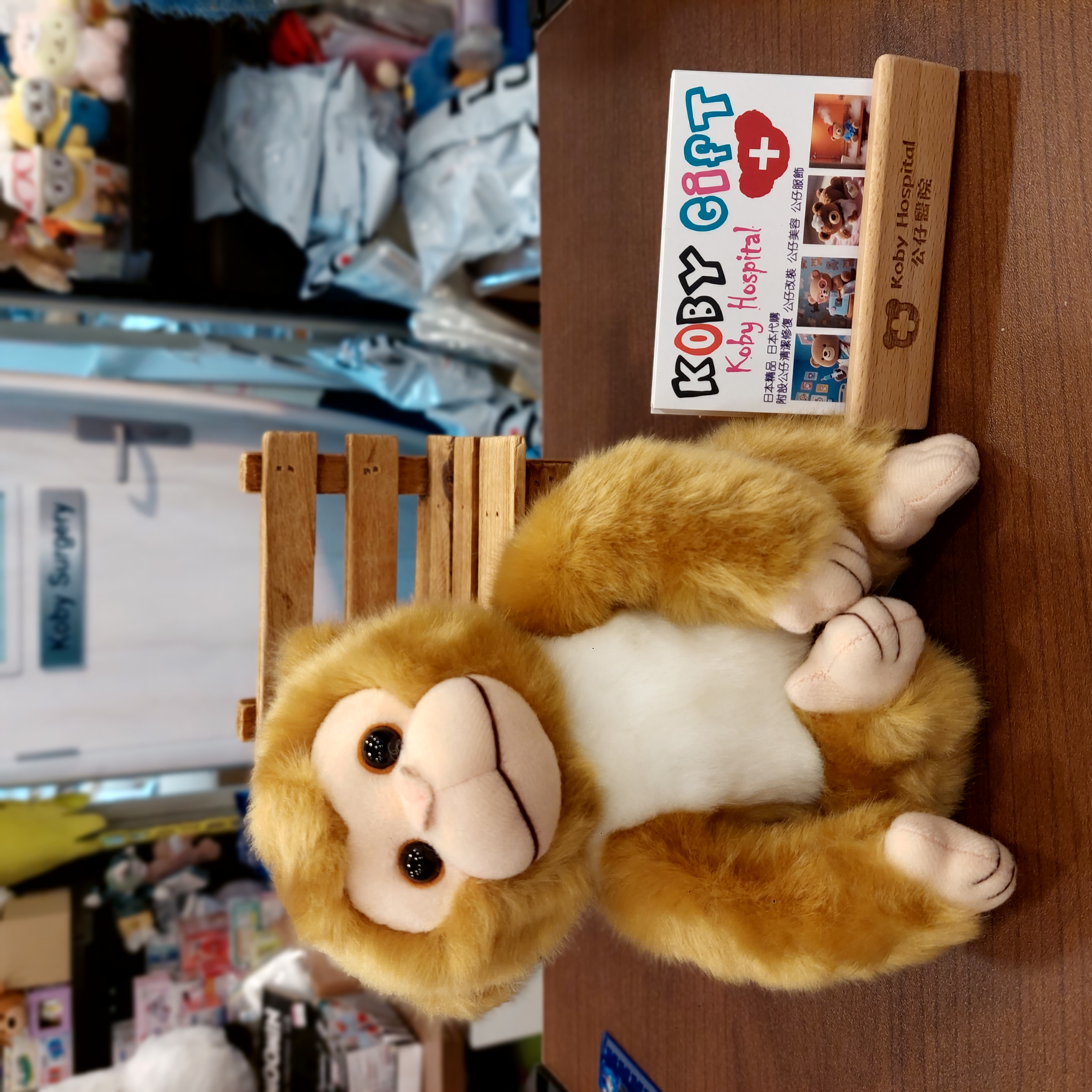 日本 市川動物園  馬騮仔  手仔腳仔都附有磁石 限定款 punchi 君 吊飾, S, M, L 四個 Size 選