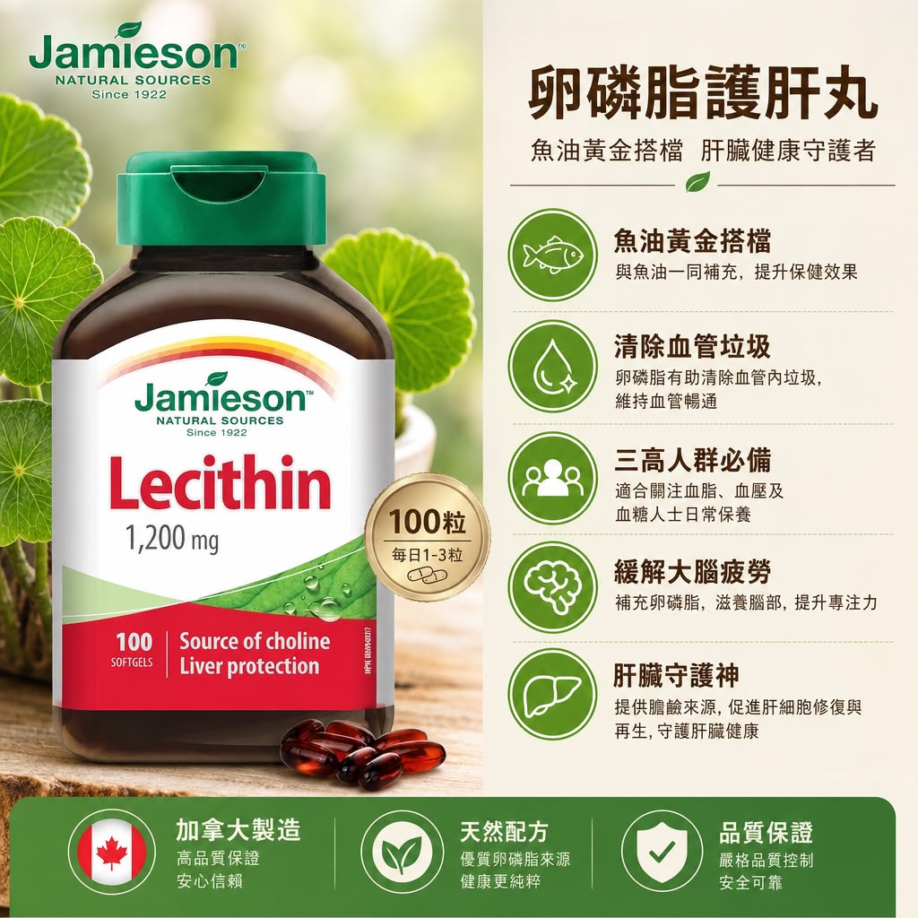 Jamieson 健美生 卵磷脂護肝丸 1200mg - 100粒