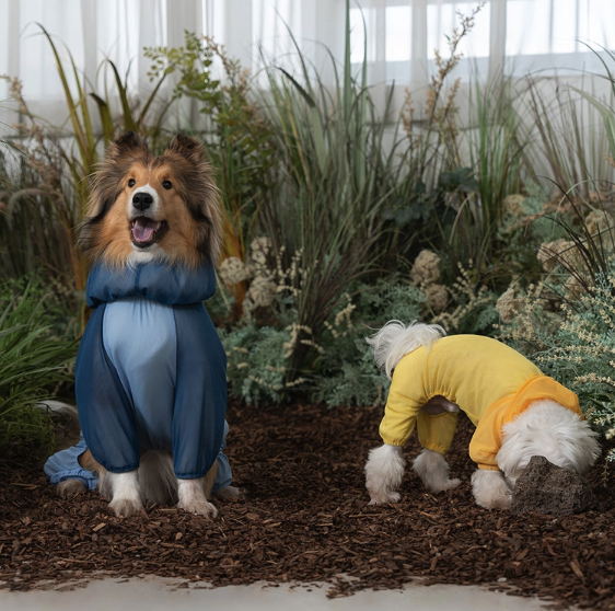 *Super Pet🇰🇷狗狗防蟲防護連身衣 (Bug Guard Suit)🐾（DG412）