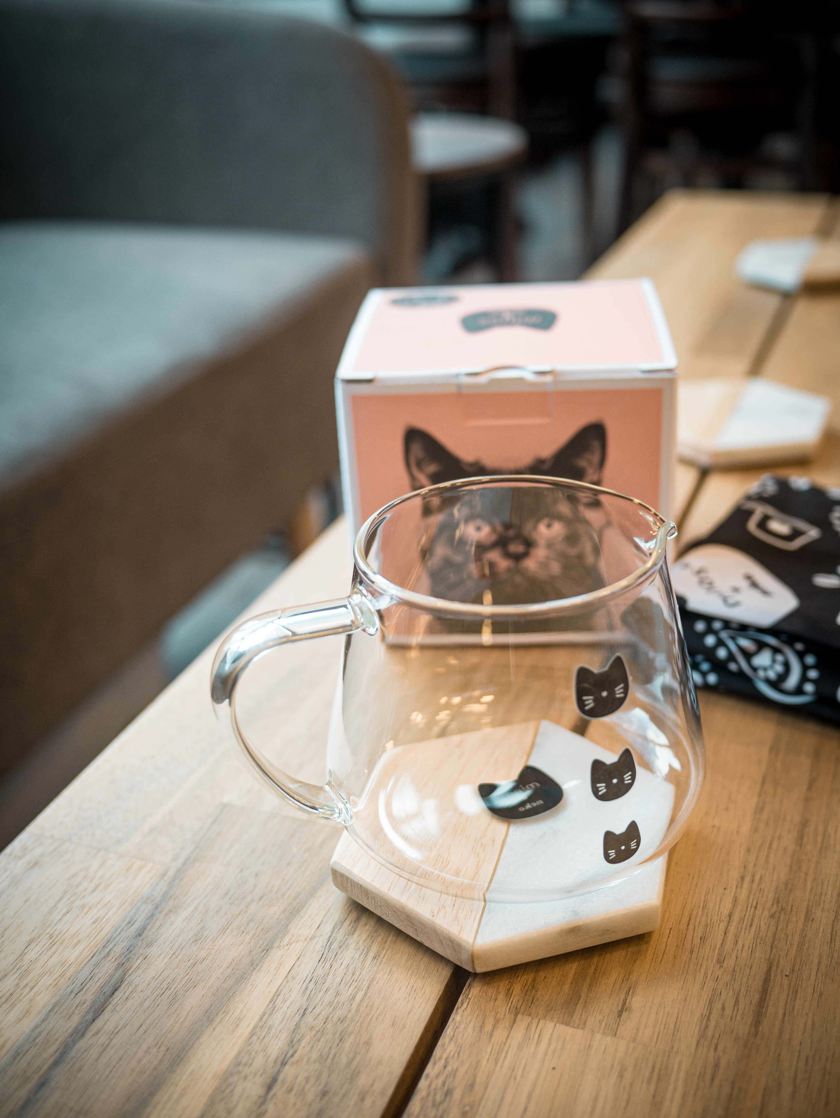 Neko 熱感變色玻璃咖啡壺（附黑色貓巾）｜300ml