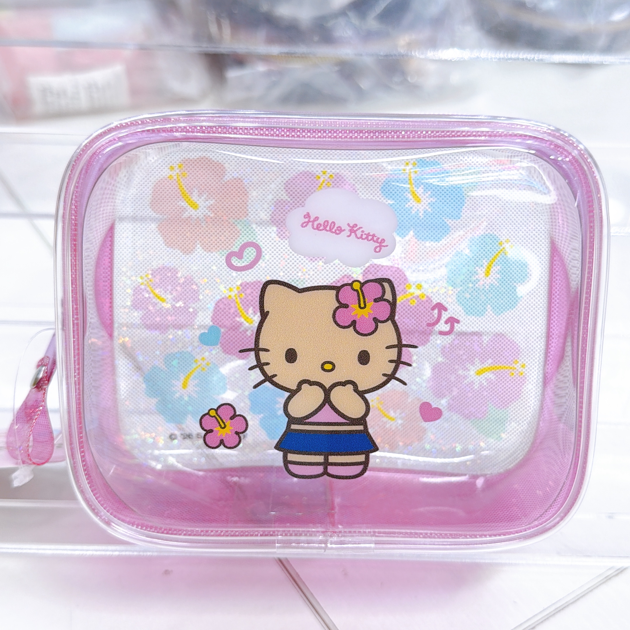 日本直送Sanrio 夏天黑皮泳裝系列 透明膠化妝袋