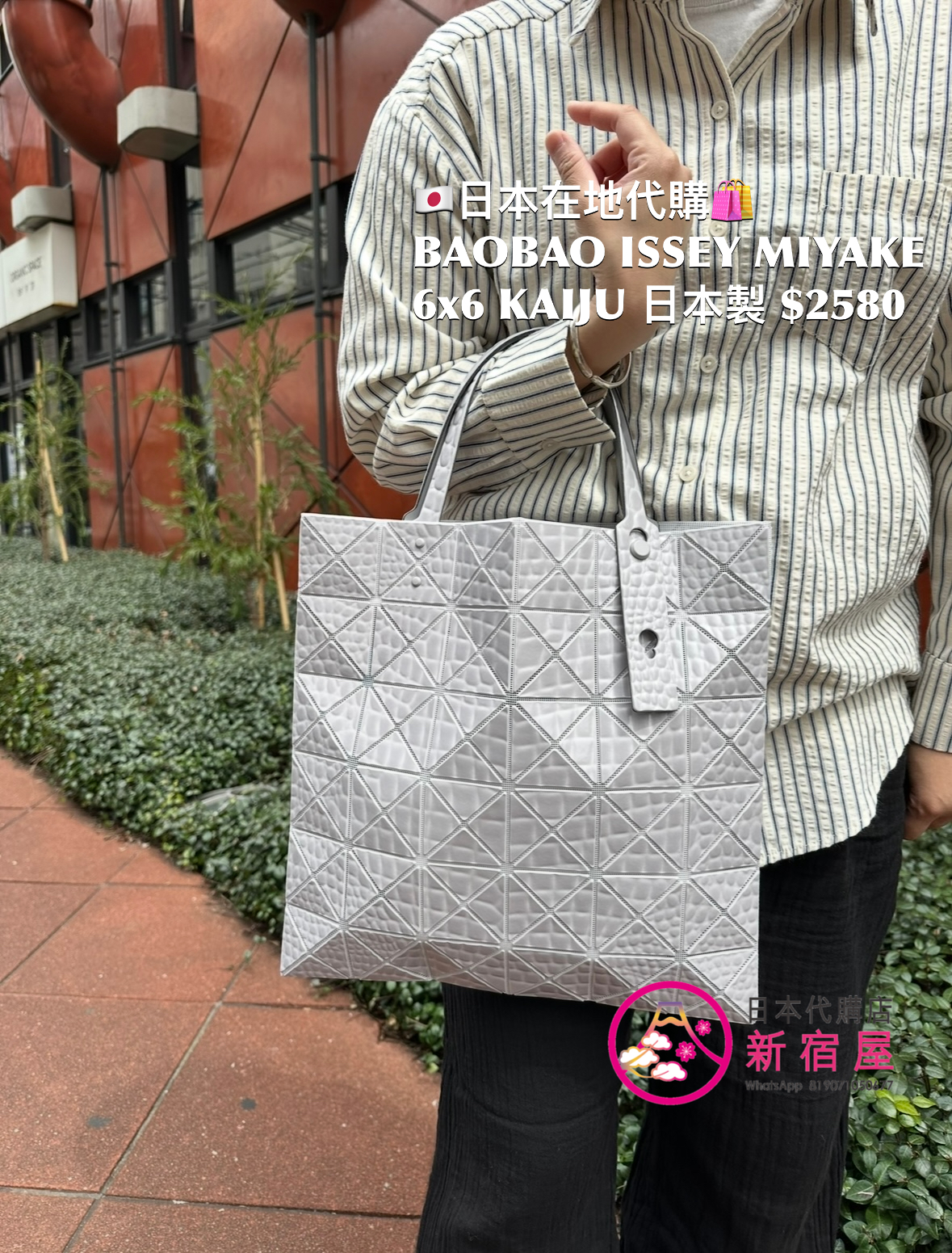 BAOBAO ISSEY MIYAKE 6x6 KAIJU
