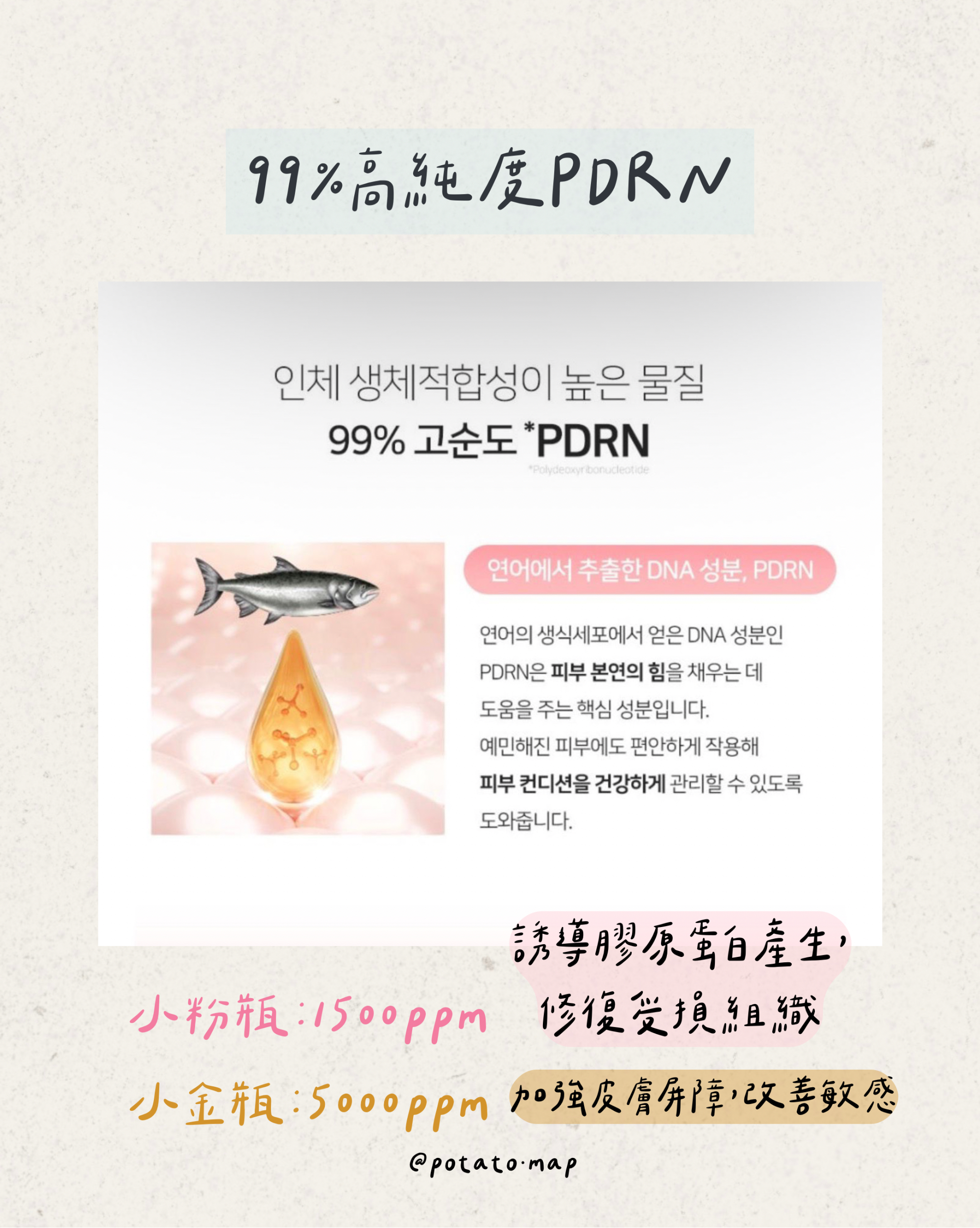 韓國架上全空！韓妞皮膚發光的秘密：韓國藥房瘋搶 PDRN 水光美白面霜，全港首團正式開跑！