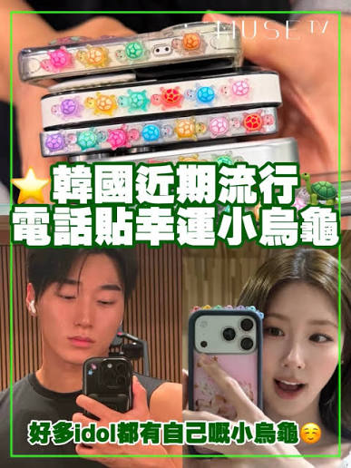 韓星集體淪陷🐢 韓國 earliner 3D 幸運小烏龜 9隻/組 ｜Lucky Turtle