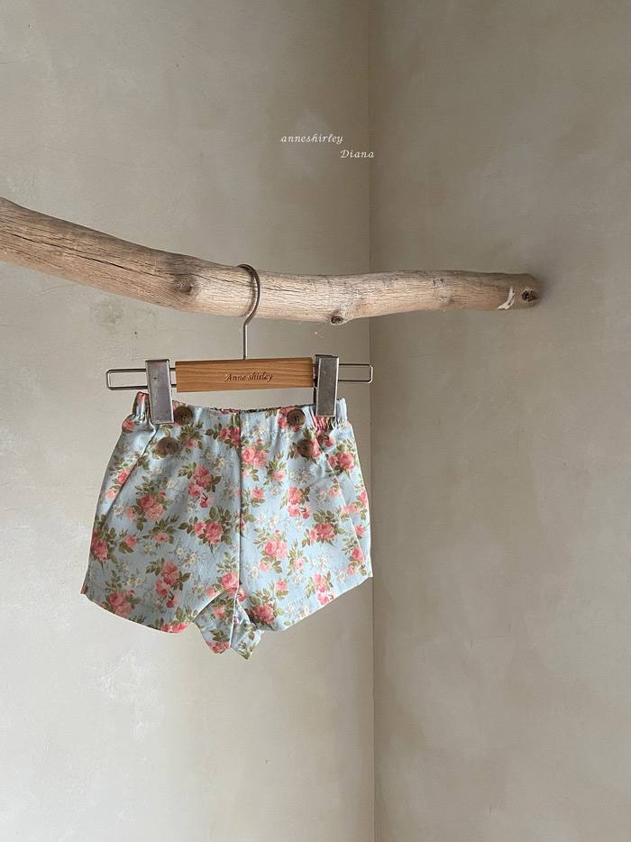 🇰🇷Anne shirley pants