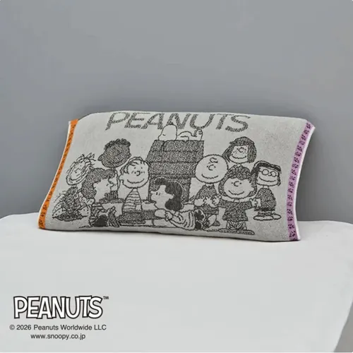 日本直送~新款Snoopy毛巾枕頭套 灰色