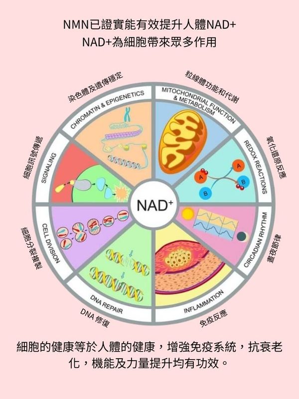 Suppoo森保寶NMN18000+PQQ-60粒