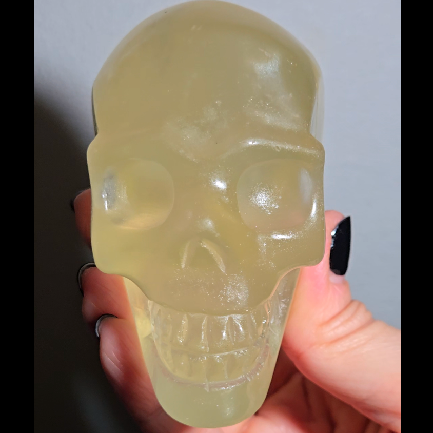 Citrine skull with rainbows and multiple star flash asterism - C59