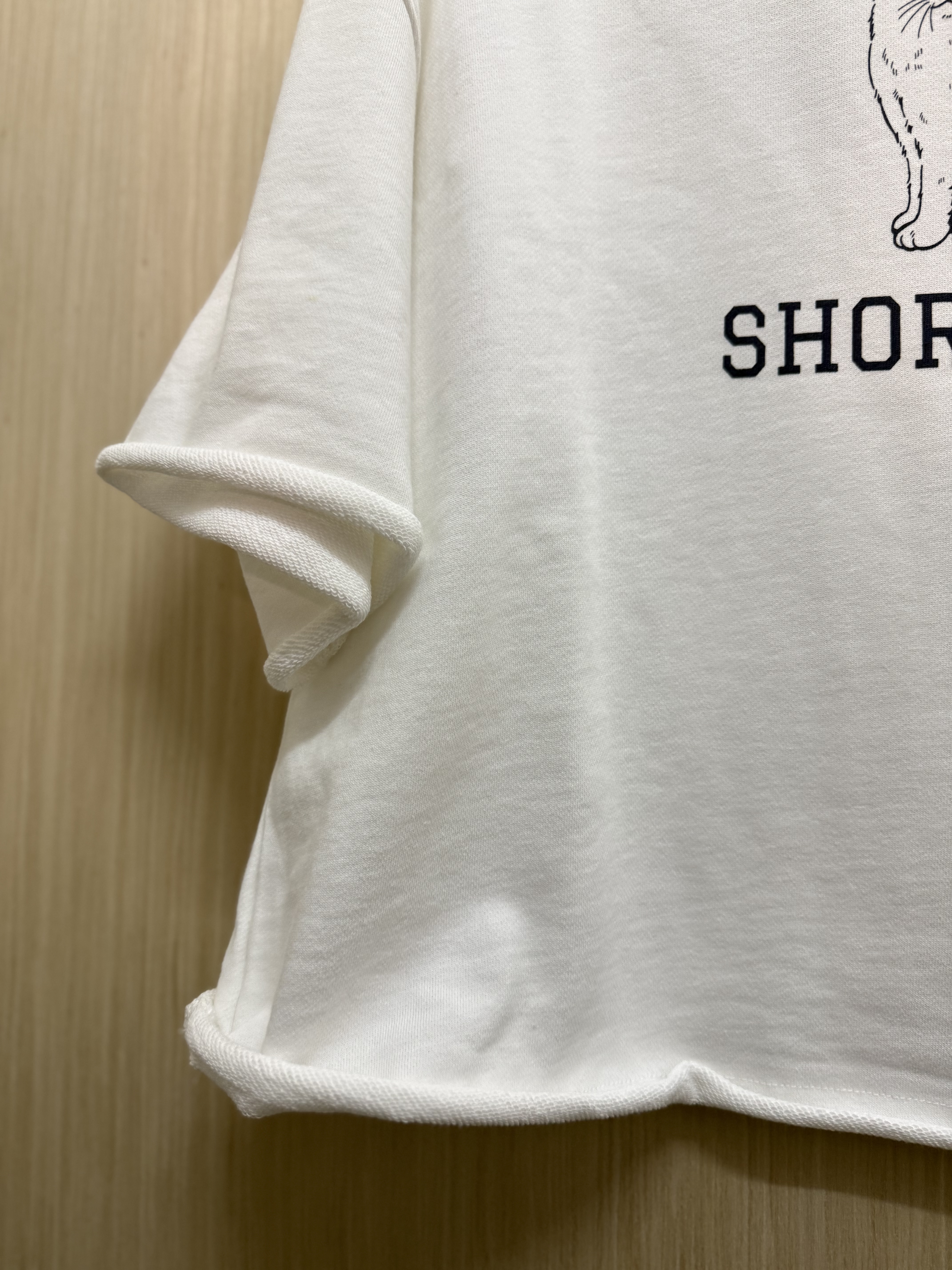 英短貓圖案𝐭𝐞𝐞