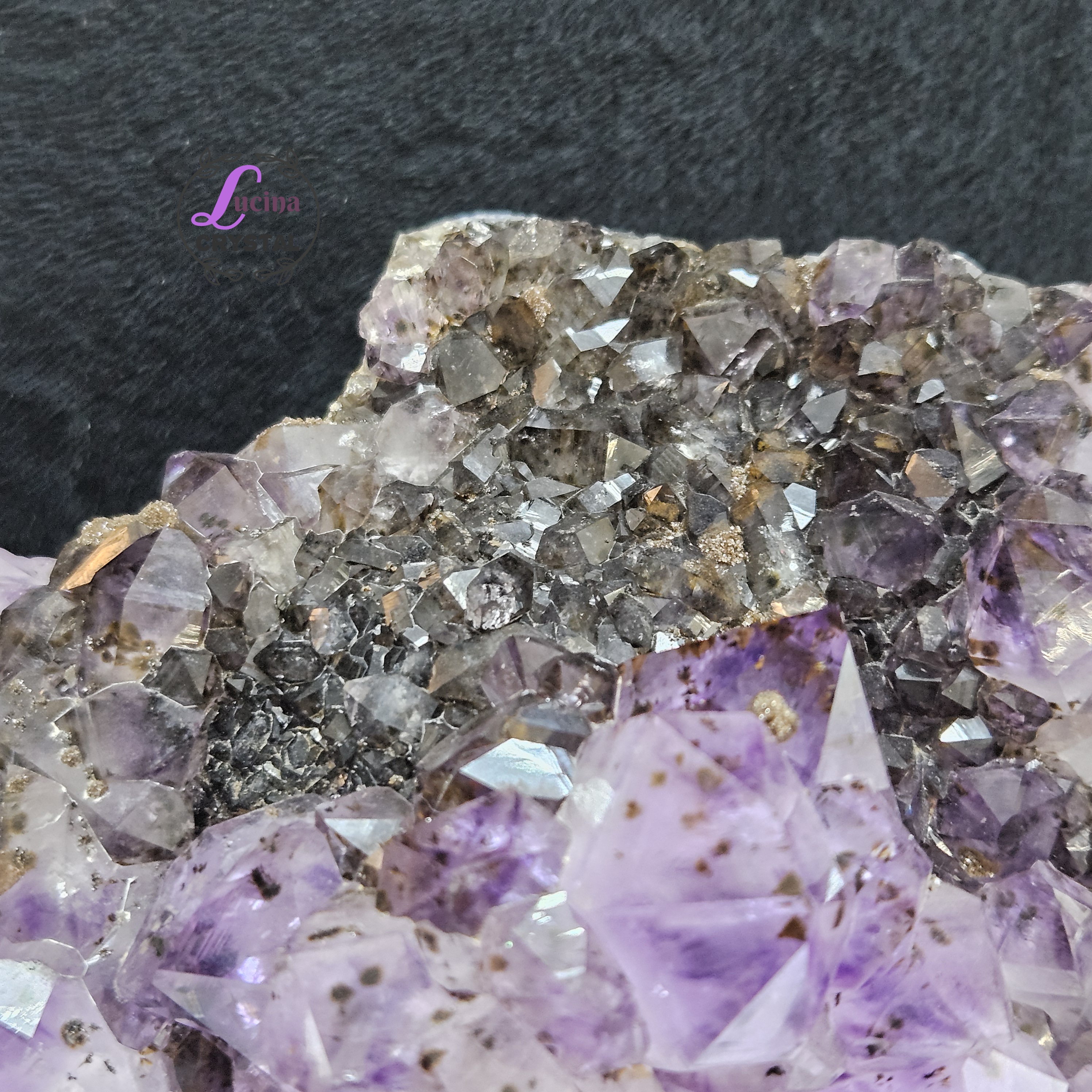 (Co#LC8556)紫鈦骨幹花水晶簇連木座/Elestial Amethyst Rutilated Flower Quartz Cluster w/wooden stand 
