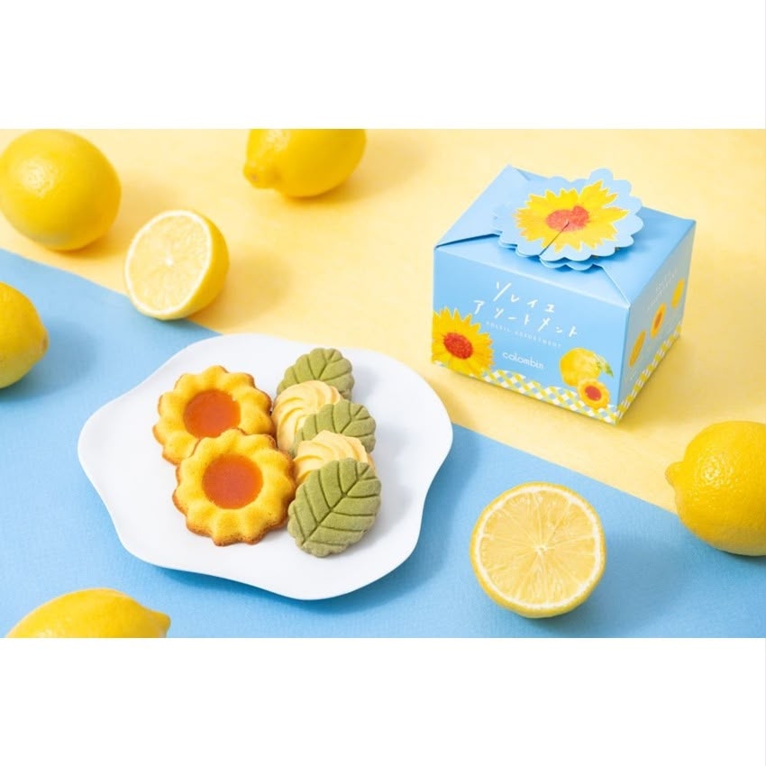 🎌日本直送🎌 Colomban  Solei 夏日限定 什錦餅乾禮盒